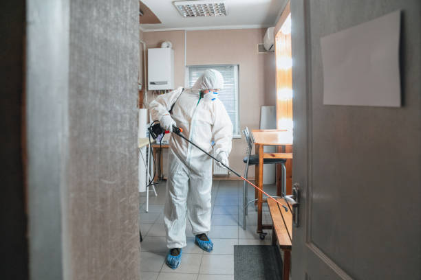 Reliable Linton, IN Mold Removal Solutions