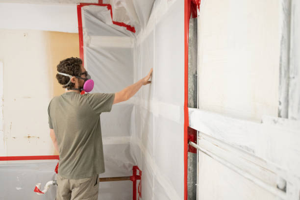 Best Real Estate Mold Inspection  in Lton, IN