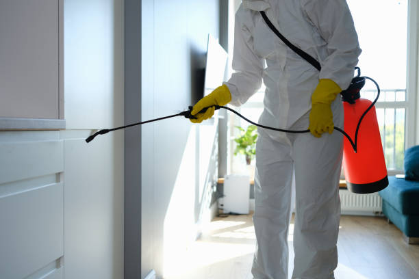 Best Mold Odor Removal Services  in Lton, IN