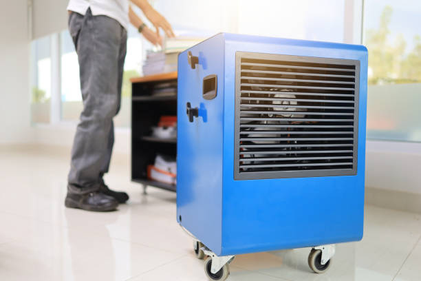 Best Industrial Mold Remediation  in Lton, IN