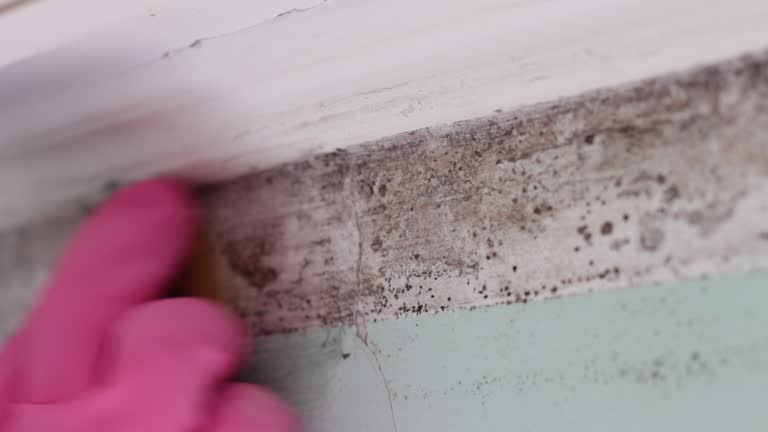 Best Airborne Mold Testing  in Lton, IN
